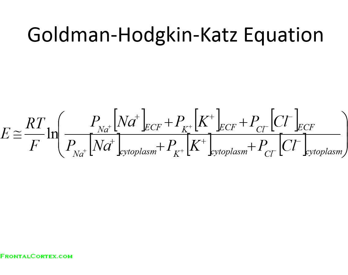 Goldman Equation