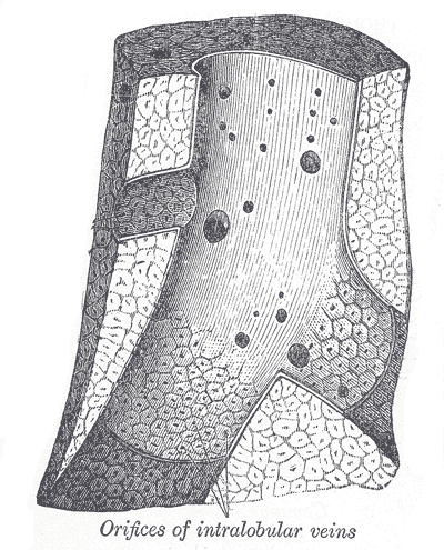 Gray1089.png