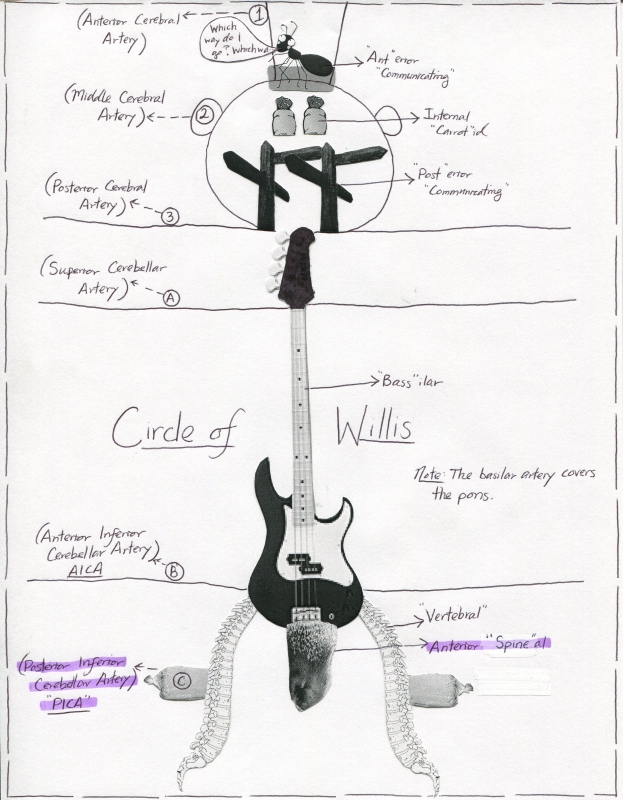 Circle of Willis