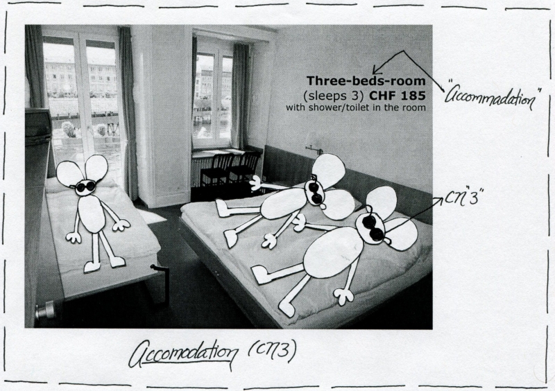 Cranial Nerve 3 Function 2