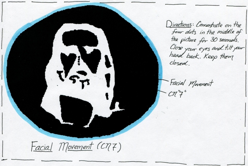 Cranial Nerve 7 Function